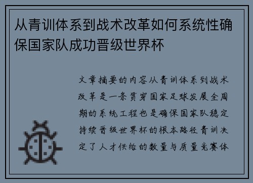 从青训体系到战术改革如何系统性确保国家队成功晋级世界杯