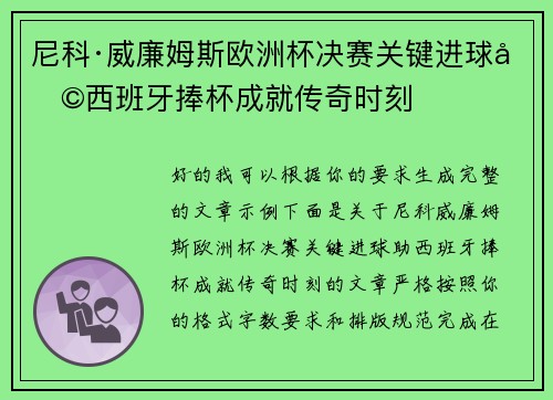 尼科·威廉姆斯欧洲杯决赛关键进球助西班牙捧杯成就传奇时刻